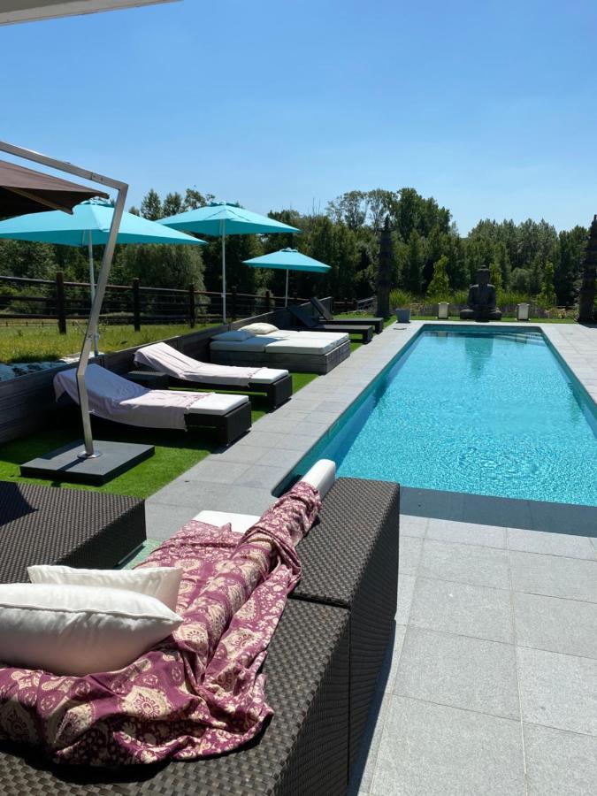 B&B La Douceur De La Miclette Ellezelles Dış mekan fotoğraf