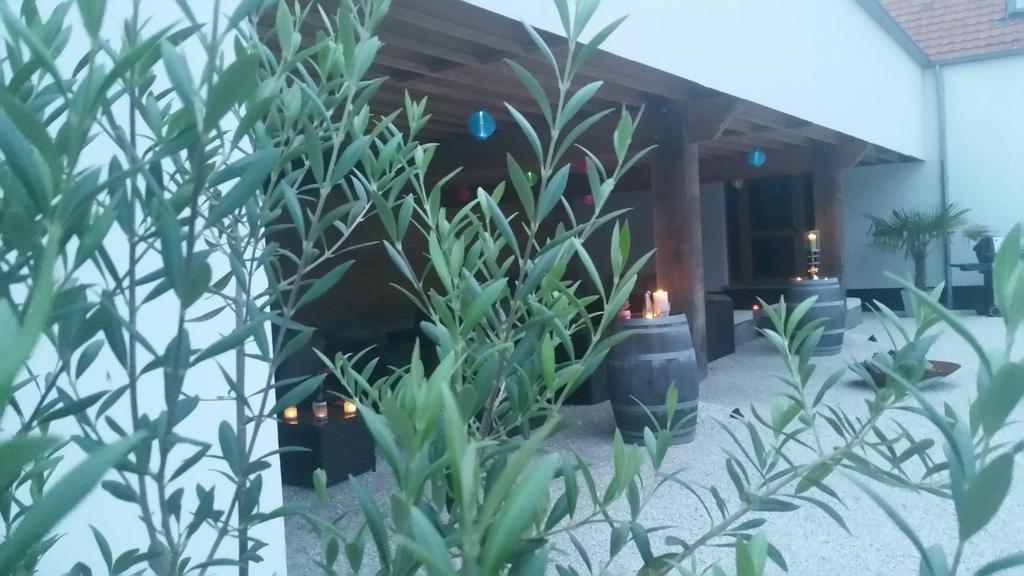 B&B La Douceur De La Miclette Ellezelles Dış mekan fotoğraf
