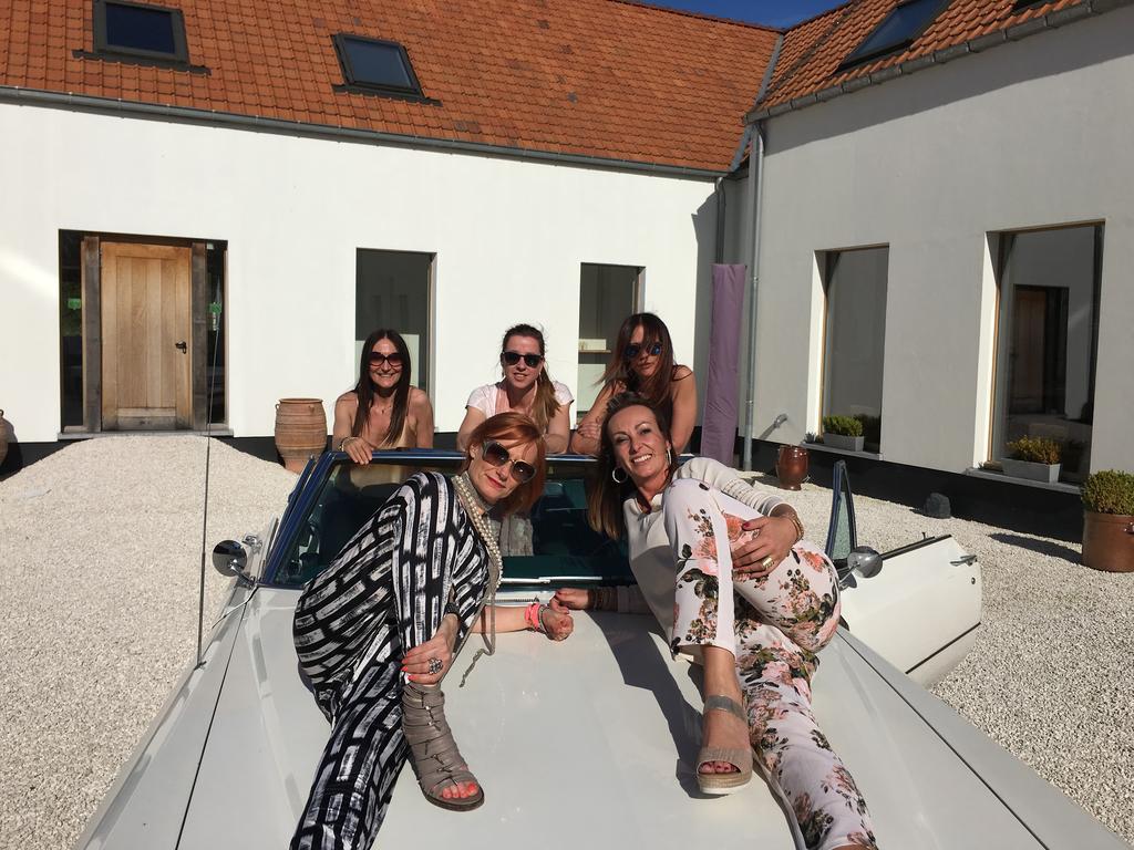 B&B La Douceur De La Miclette Ellezelles Dış mekan fotoğraf