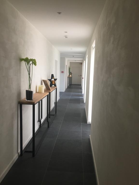 B&B La Douceur De La Miclette Ellezelles Dış mekan fotoğraf